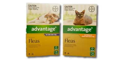 Advantage Flea Prevention for Dogs and Cats