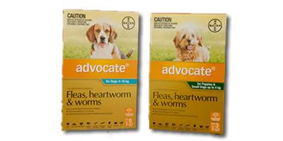 Advocate Parasite Prevention for Dogs and Cats